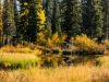 201209212012DSC_8180-2