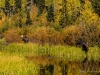 201209212012DSC_8196-2
