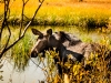 201209212012DSC_8204-2