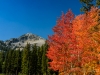 201209212012DSC_8265-2