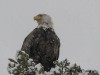 20260509-_DSC6500