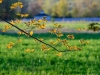 20170503DSC_6312