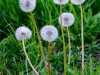 20170503DSC_6352