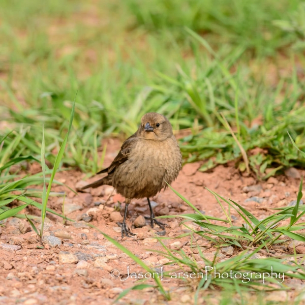 20140524DSC_6302