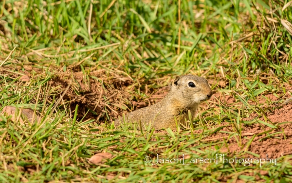 20140524DSC_6391