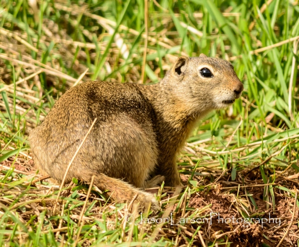 20140524DSC_6413