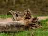 20140524DSC_6243