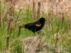 20140524DSC_6252