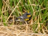 20140524DSC_6273
