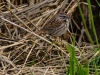 20140524DSC_6282