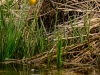 20140524DSC_6287