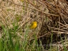 20140524DSC_6288