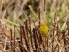 20140524DSC_6293