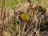 20140524DSC_6294