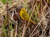 20140524DSC_6295