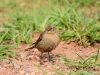 20140524DSC_6302