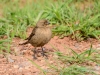 20140524DSC_6304