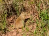 20140524DSC_6338