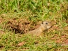 20140524DSC_6391