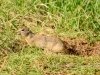 20140524DSC_6407