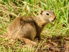 20140524DSC_6413