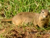 20140524DSC_6422
