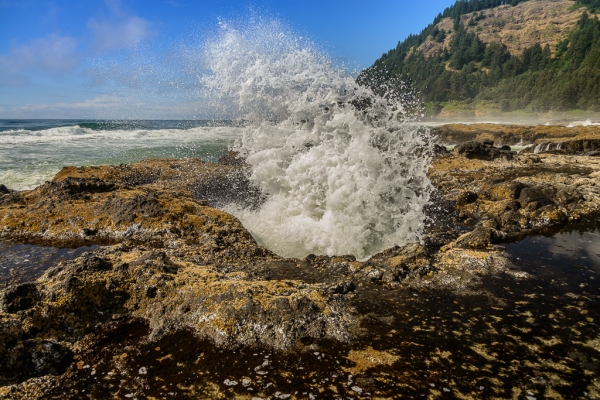 20150726DSC_6889