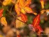 20250927-_DSC5128