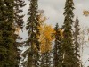 20250927-_DSC5129