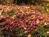 20250927-_DSC5141
