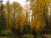 20250927-_DSC5145-Pano