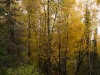 20250927-_DSC5145