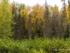 20250927-_DSC5147