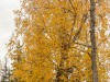 20250927-_DSC5148