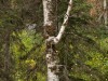 20250927-_DSC5149