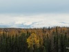 20250927-_DSC5157