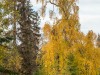 20250927-_DSC5160