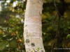 20250927-_DSC5165