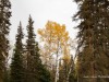 20250927-_DSC5176