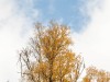 20250927-_DSC5177