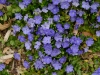 20180405DSC_9728