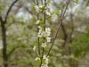 20180405DSC_9814