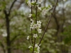 20180405DSC_9815