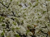 20180405DSC_9831