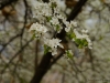 20180405DSC_9833