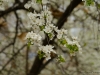 20180405DSC_9834