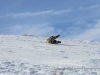 20170128DSC_4724