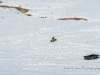 20170128DSC_4830