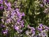 20160704DSC_1408