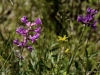 20160704DSC_1410